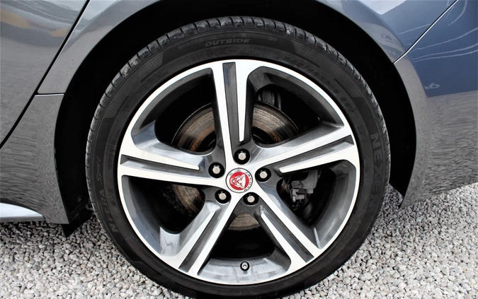 Jaguar XF cena 117800 przebieg: 22000, rok produkcji 2018 z Nowy Targ małe 529
